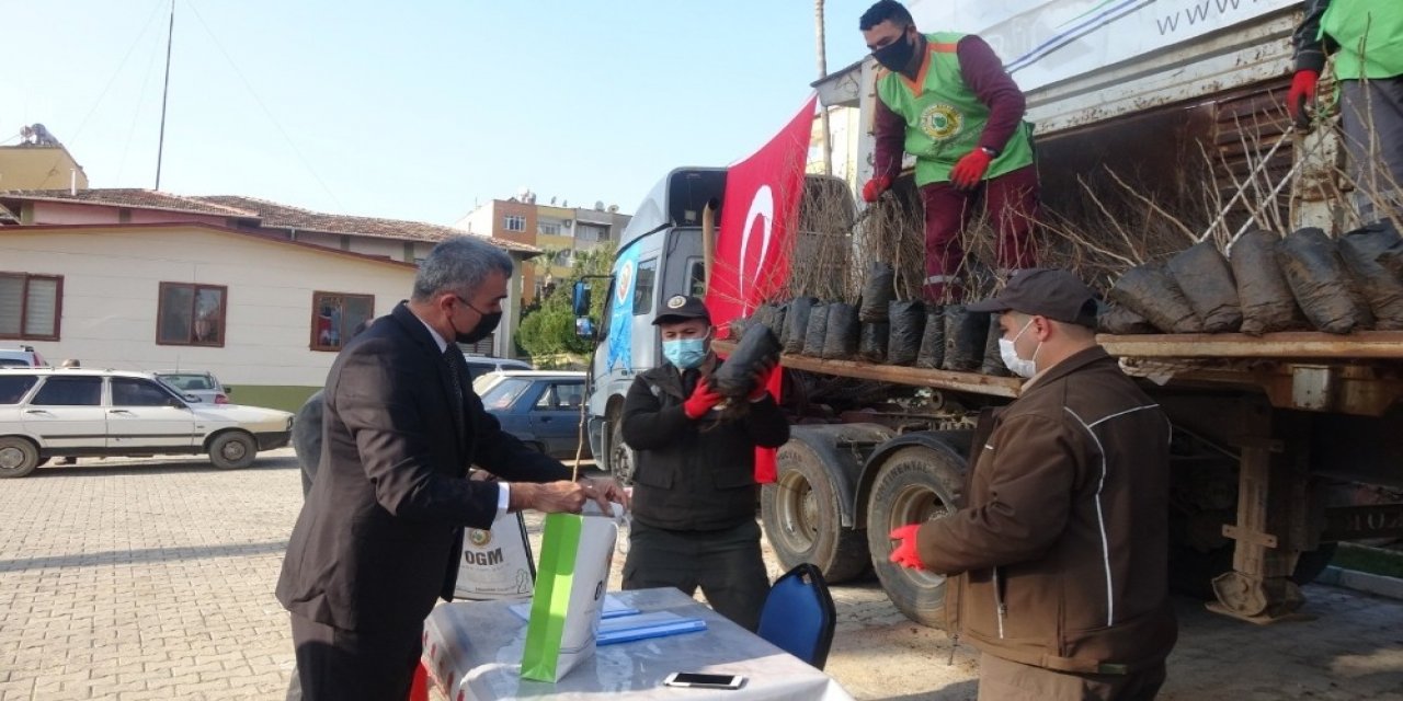 Anamur’da Üreticiye Fide Desteği