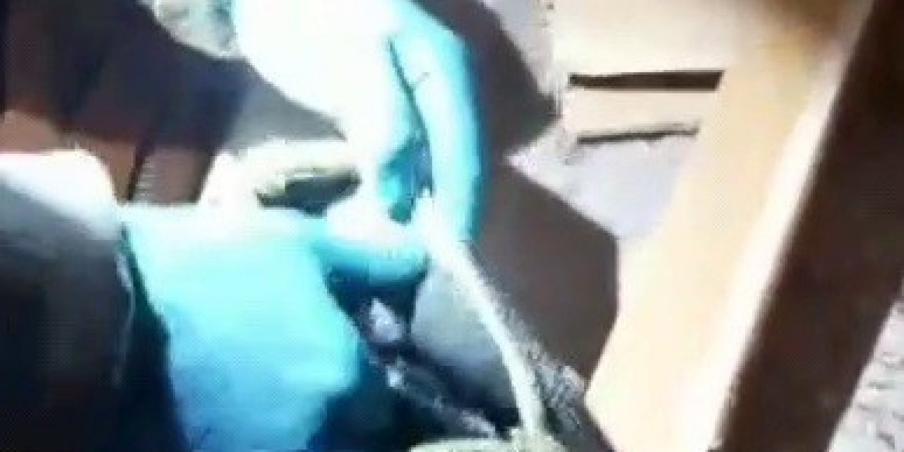 Çöp Konteynerinde Mahsur Kalan Kedi Kurtarıldı