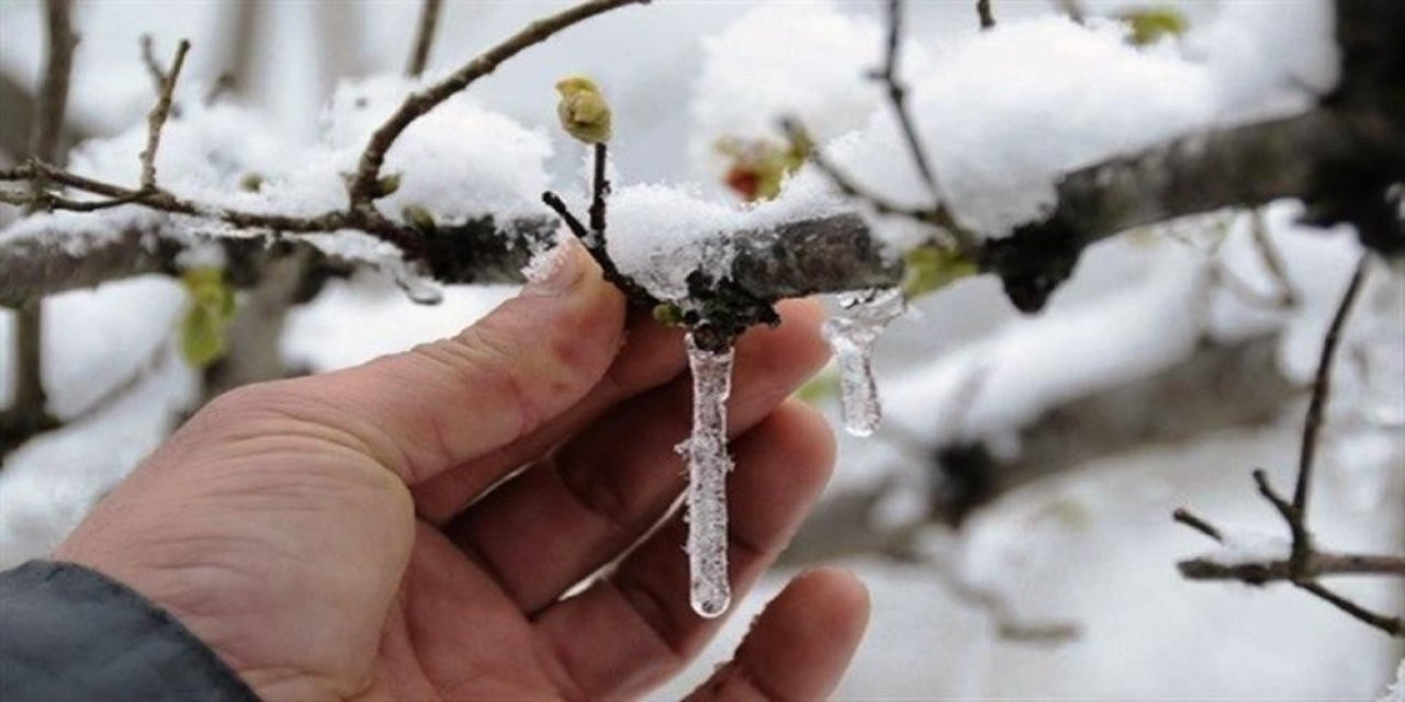 Meteoroloji’den Aydın’a ’zirai Don’ Uyarısı