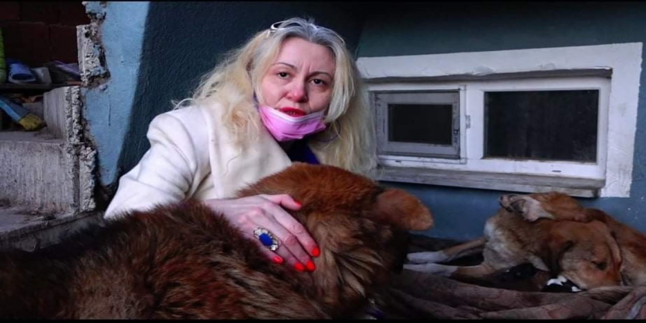 Yavru Köpekler İçin Bahçesine Kulübe Yaptırdı, Bakımını Üstlendi