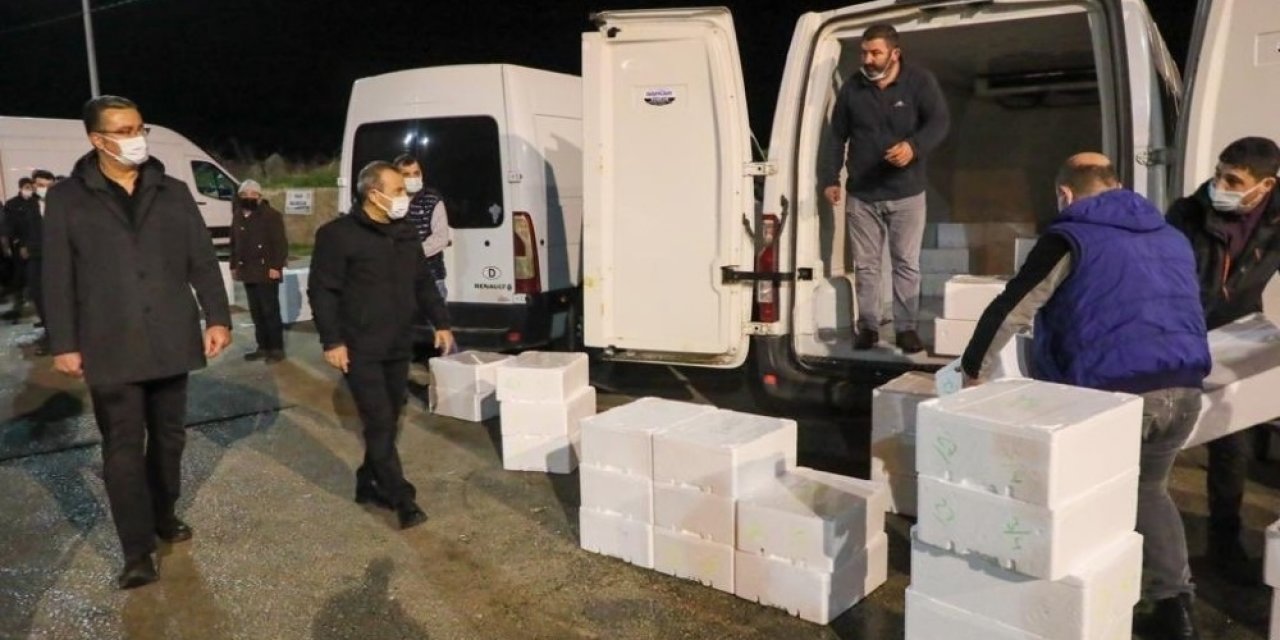 Balık Mezadında ’vali’ Sürprizi