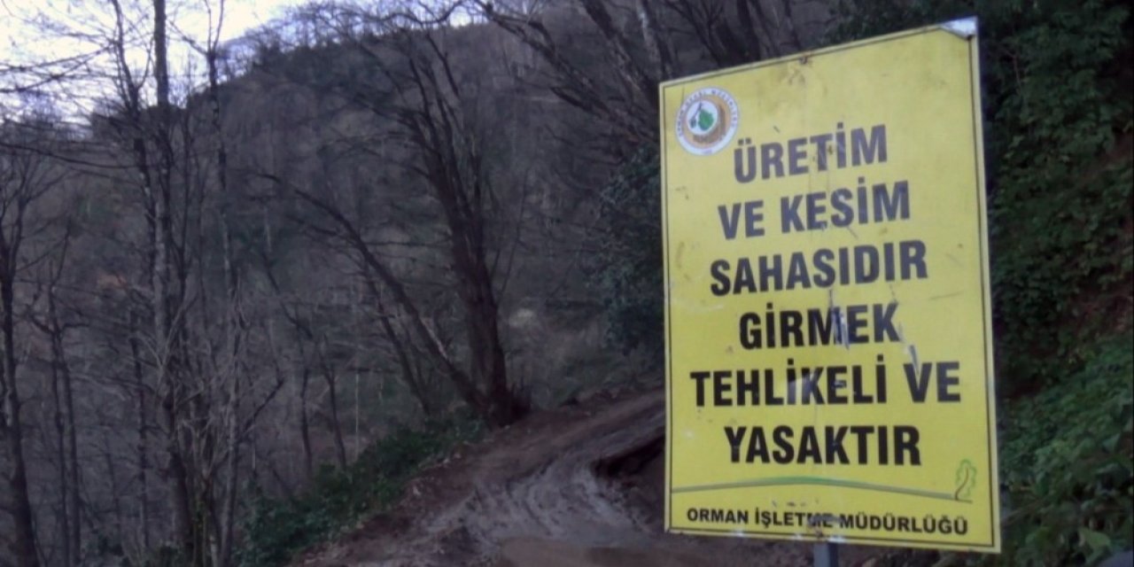 Köylü Ormanına Sahip Çıktı, Usulsüz Kesim Durduruldu