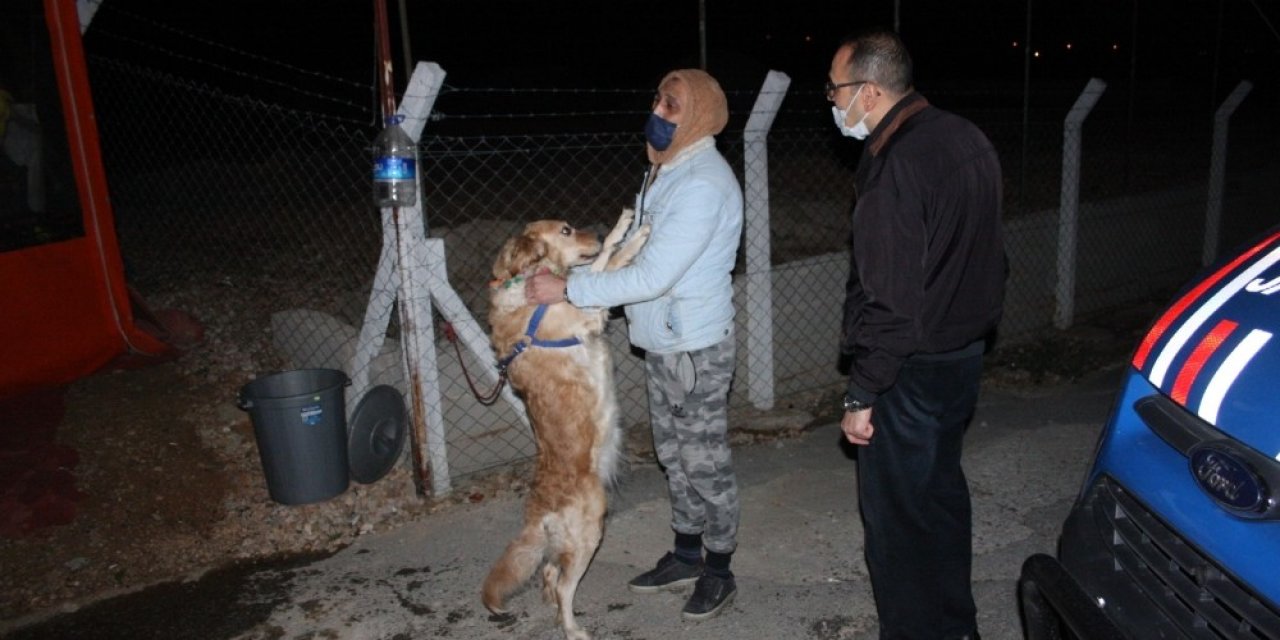 Kırmızı Işık İhlali Kazası En Çok Hera’yı Korkuttu