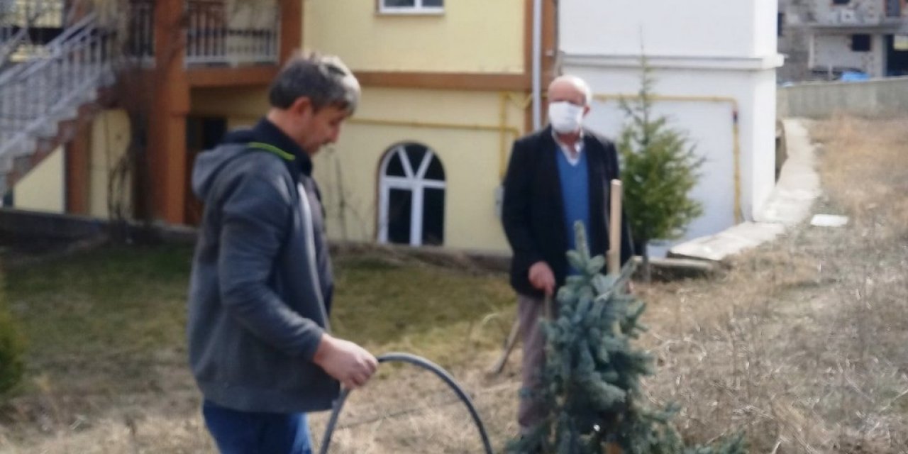 Hisarcık Yunus Emre Cami Bahçesi Ağaçlandırıldı