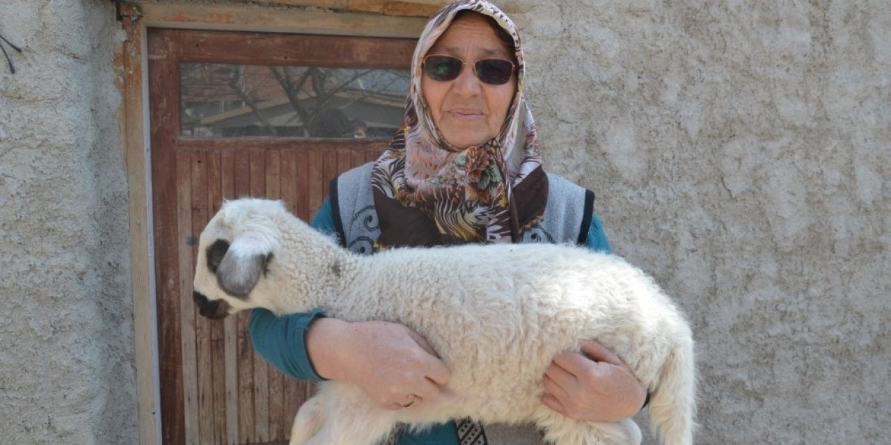 Jasat Ekipleri Koyunları Çalınan Şehit Annesini Mutlu Etti