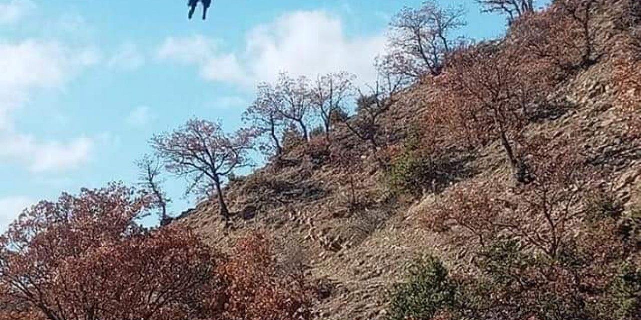 Sinop’tan İlginç Görüntü: Boynuzu Tellere Takılan Keçi Gökyüzünde Süzüldü