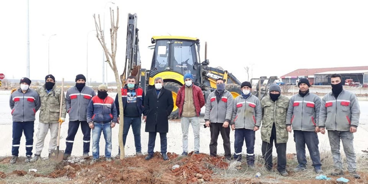 Altıntaş’ta Ağaçlandırma Çalışmaları