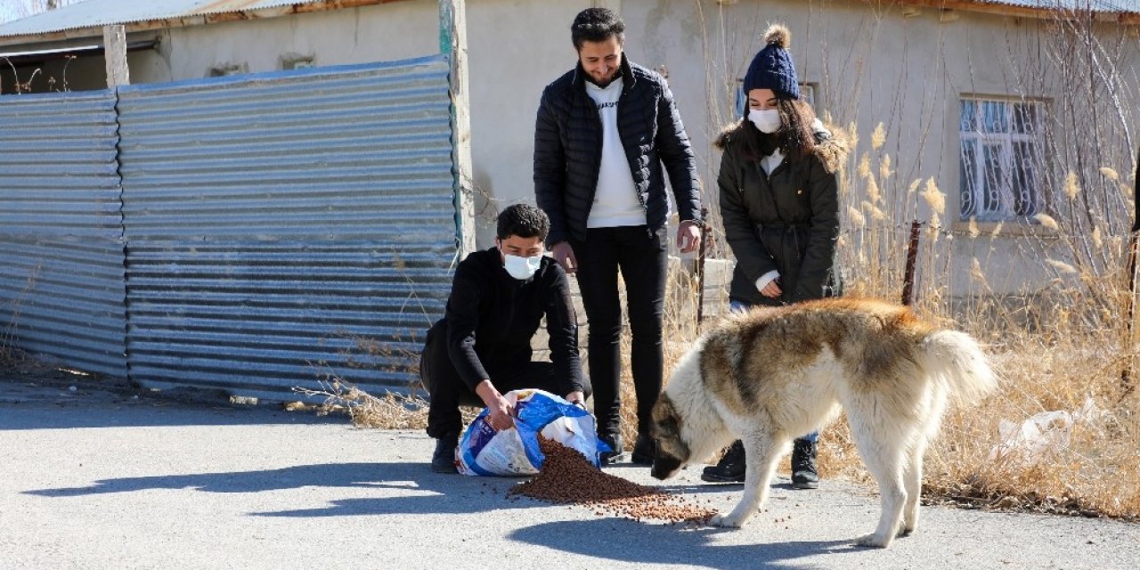 Gürpınar Belediyesinden 14 Şubat’ta Anlamlı Etkinlik