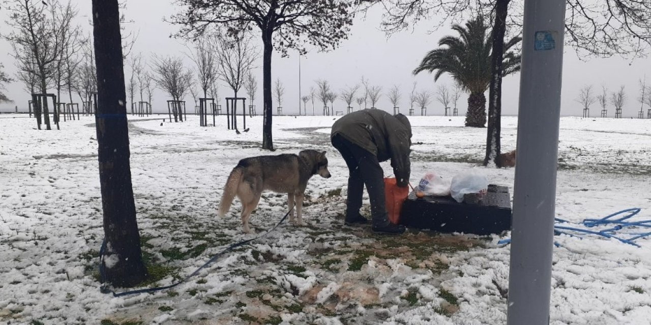 Caddebostan’da Yürek Isıtan Görüntüler: Yüzlerce Martıyı Besledi