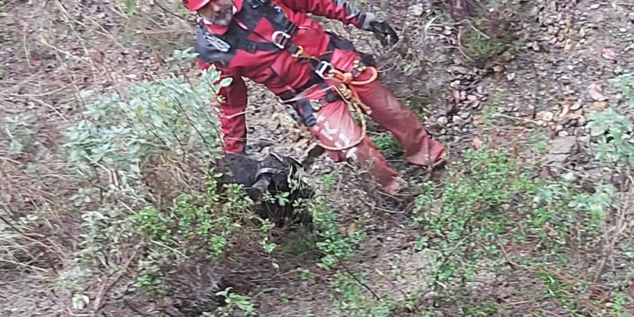 Söke’de Keçi Kurtarma Operasyonu