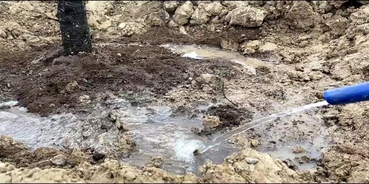 Pursaklar’da Ağaçlandırma Çalışmaları Tüm Hızıyla Devam Ediyor
