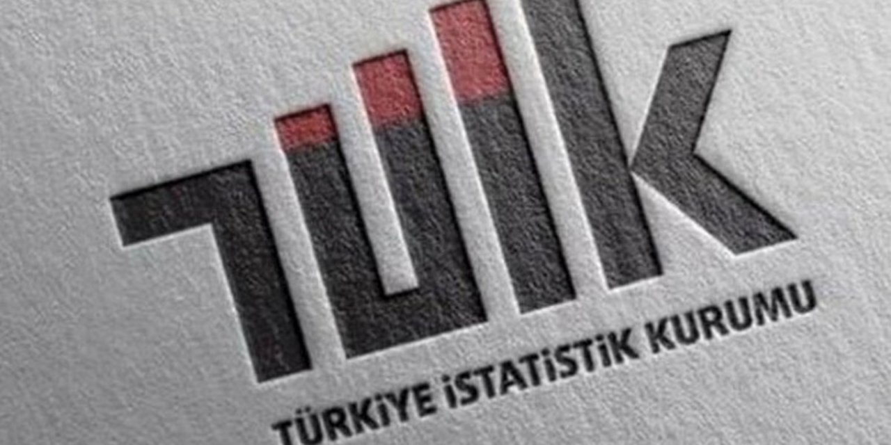 TÜİK'e yeni başkan atandı