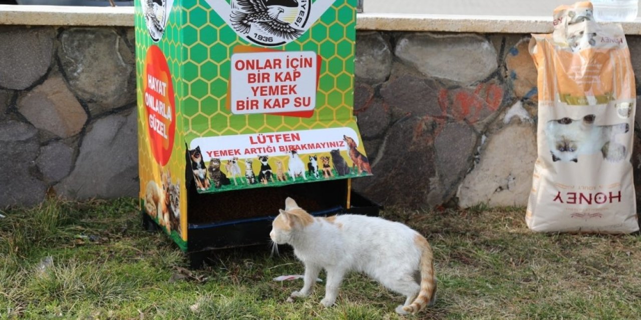 Bingöl’de 12 Noktaya Mamamatik Yerleştirildi