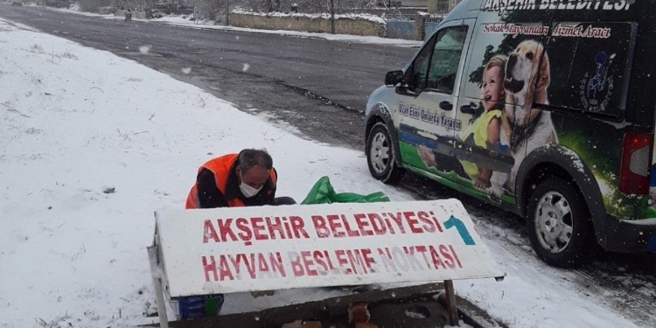 Akşehir Belediyesi Sokak Hayvanlarını Beslemeyi Sürdürüyor