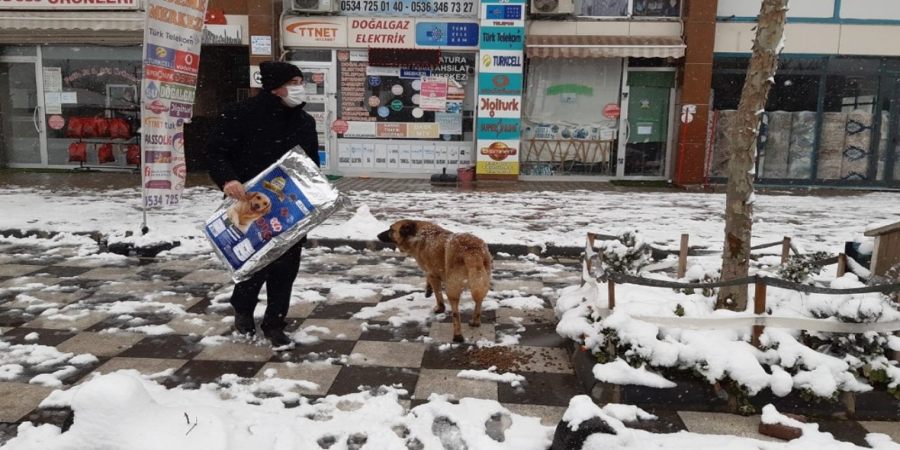 Başkan Yüksel Sokak Hayvanlarını Elleri İle Besledi