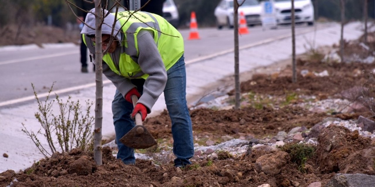 Aliağa’daki Bozköy’de 75 Adet Süs Armudu Toprakla Buluştu