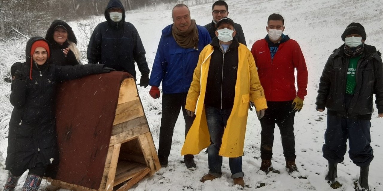 Soğuk Havaya Aldırış Etmeden Hayvanlara Kulübe Bıraktılar