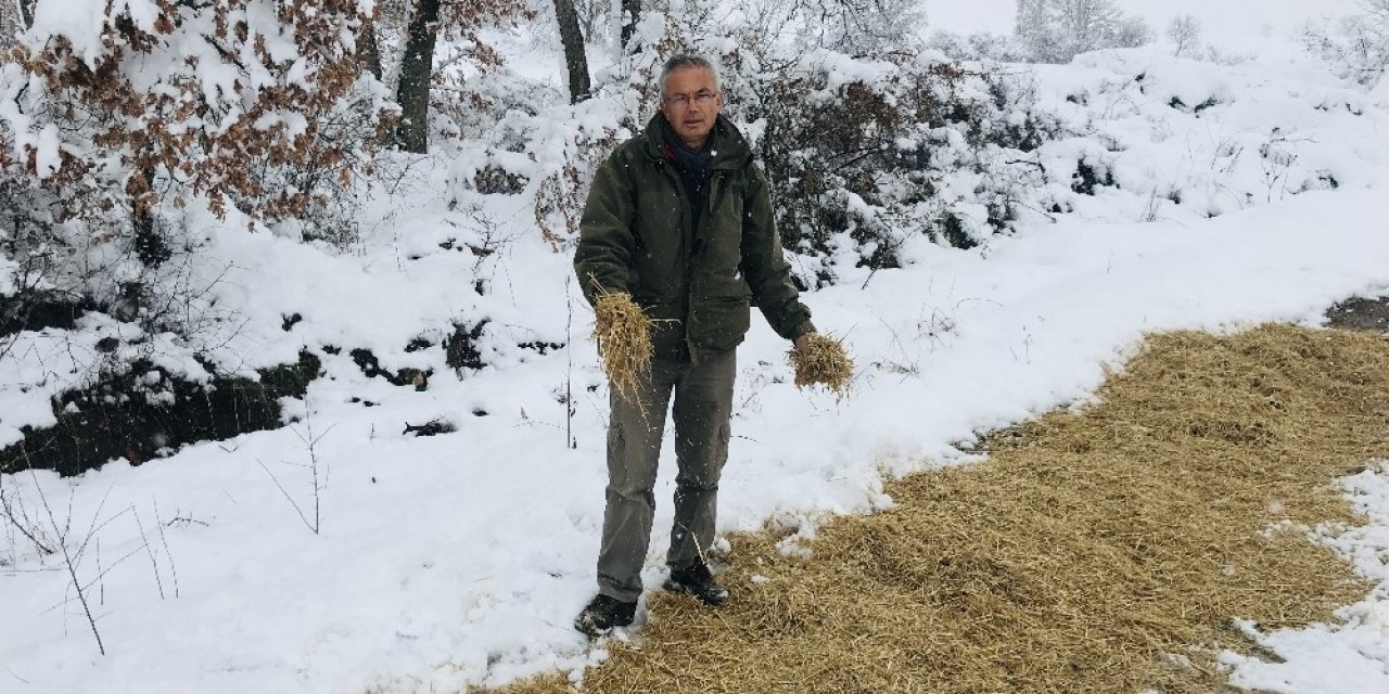 Çanakkale’de, Yaban Hayvanları İçin Doğaya Yem Bırakıldı