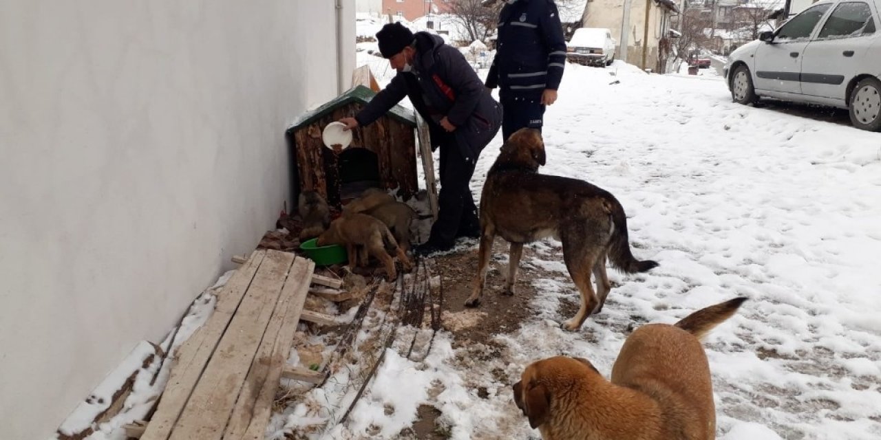Emet Belediyesi’nden Sokak Hayvanlarına Su Ve Yiyecek Desteği