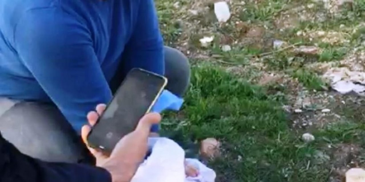 Diyarbakır’da Nesli Tükenme Tehlikesi Altında Olan Kaya Sansarı Görüldü