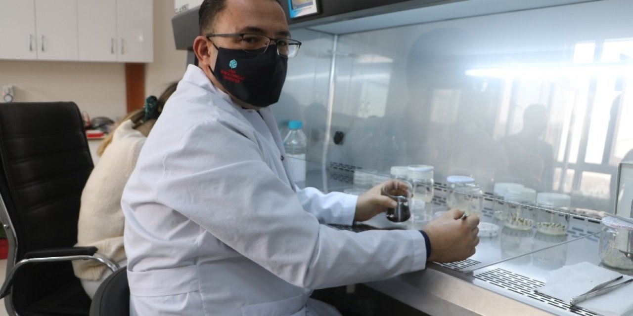 Kenevir Tarımı Yapmayı Planlayan Çiftçiler Dikkat