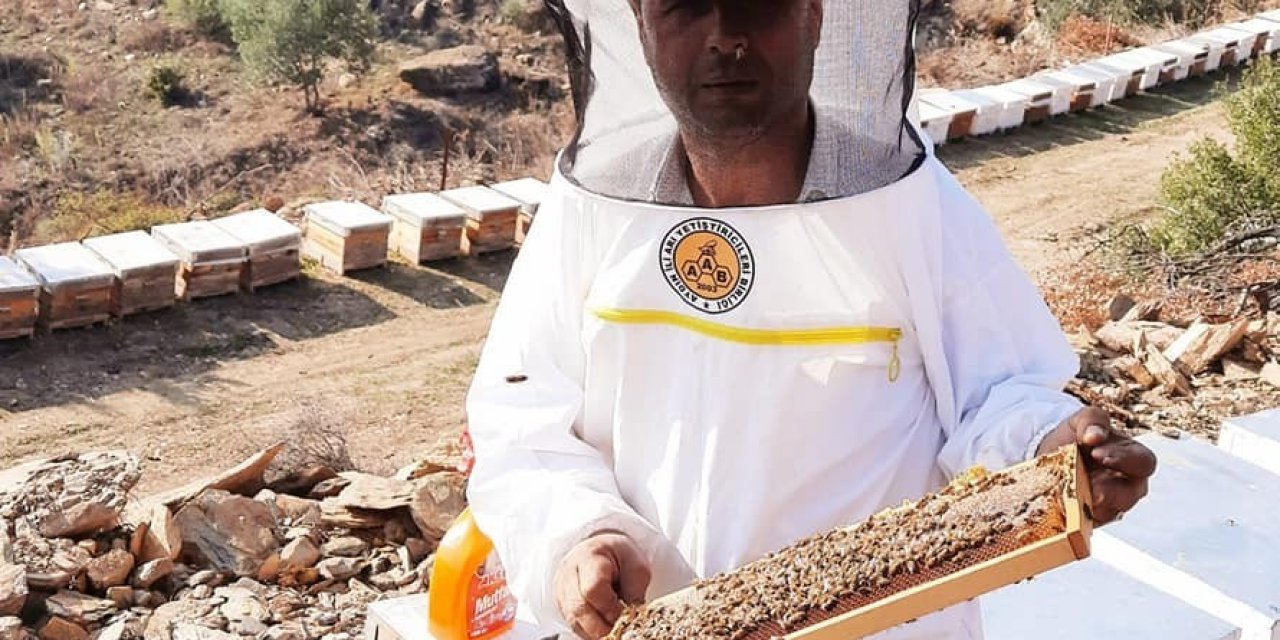 2021 Yılı Arı Fiyatları Belirlendi
