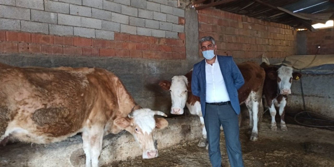 Siirt’te Devlet Desteğiyle Hayvancılık Gelişiyor
