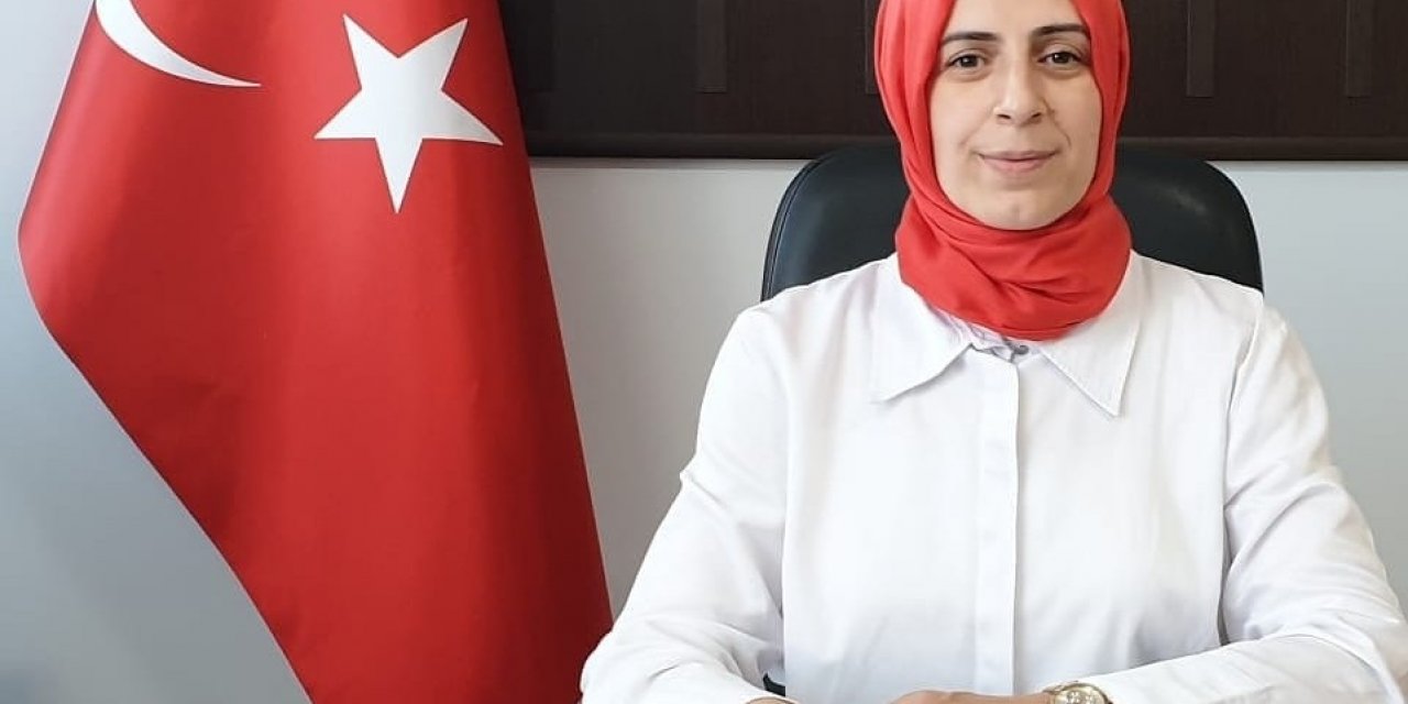 Sokak Hayvanları İçin Yeni Yaşam Alanı Önerisi