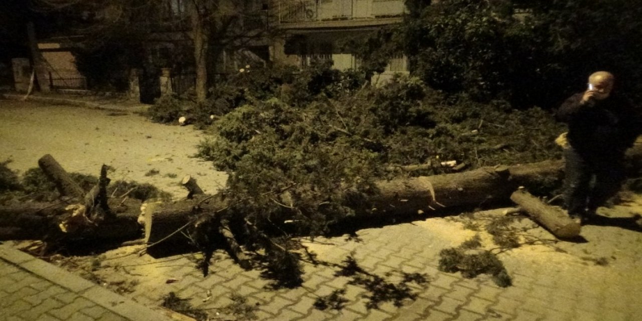 İ̇zmir’de Fırtına Sebebiyle Ağaç Sokağa Düştü