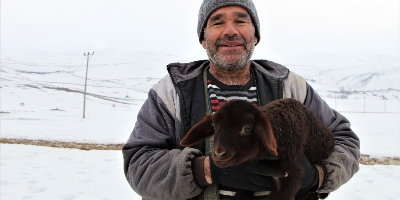 Bingöl’de Dayanışma Örneği, Telef Olan 95 Kuzusu Yerine 95 Kuzu Verildi