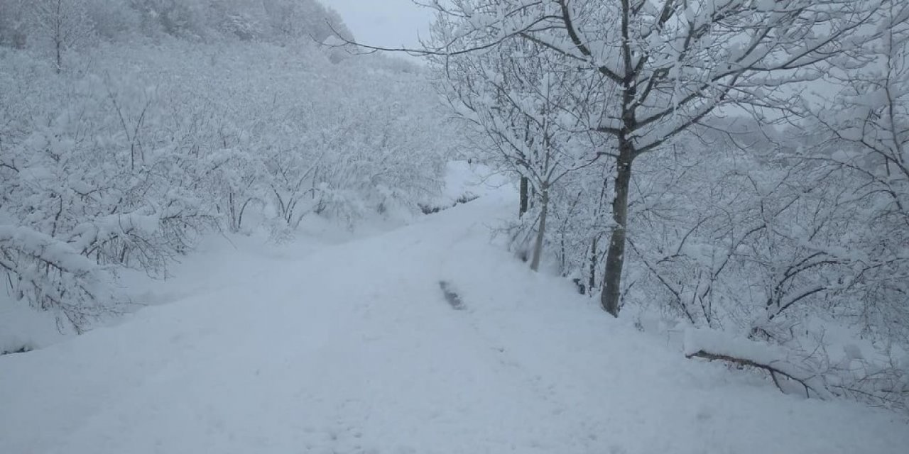 Zonguldak’ta 165 Köy Yolu Ulaşıma Kapandı