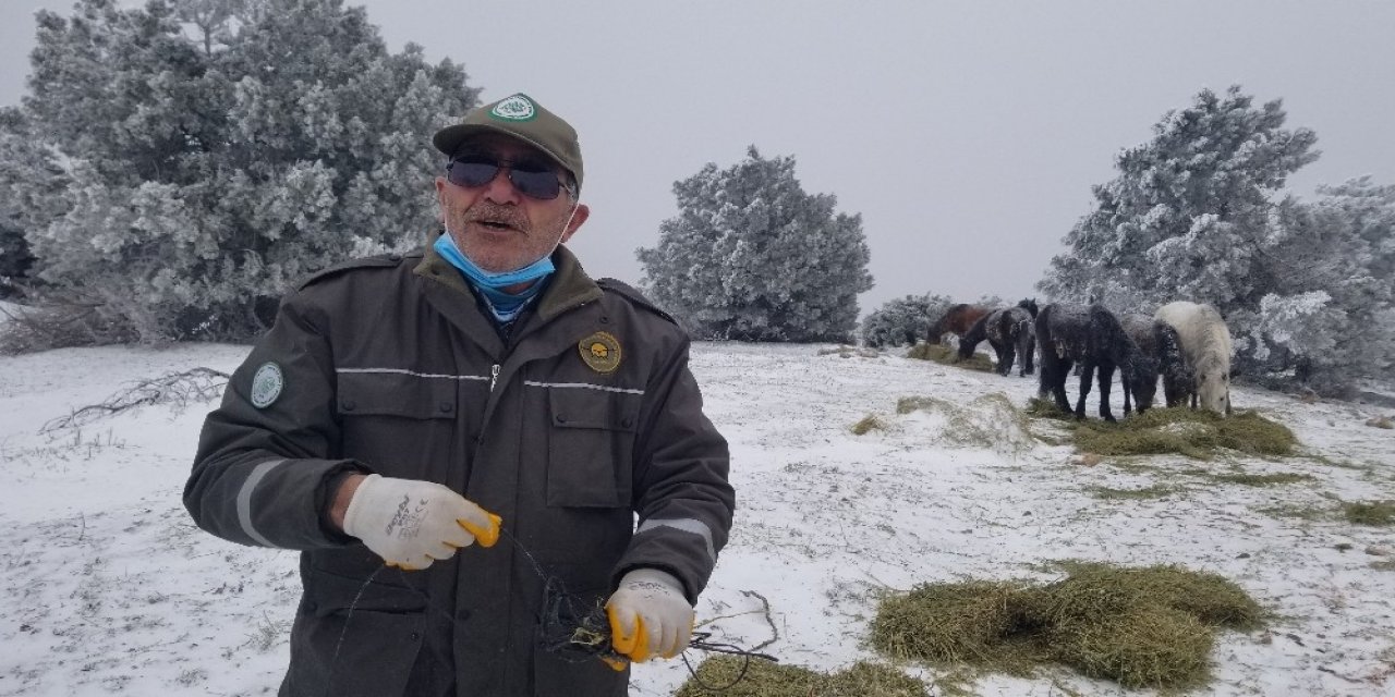 Eksi 8 Derecede Spil Dağı’nda Yaban Hayatı Unutulmadı