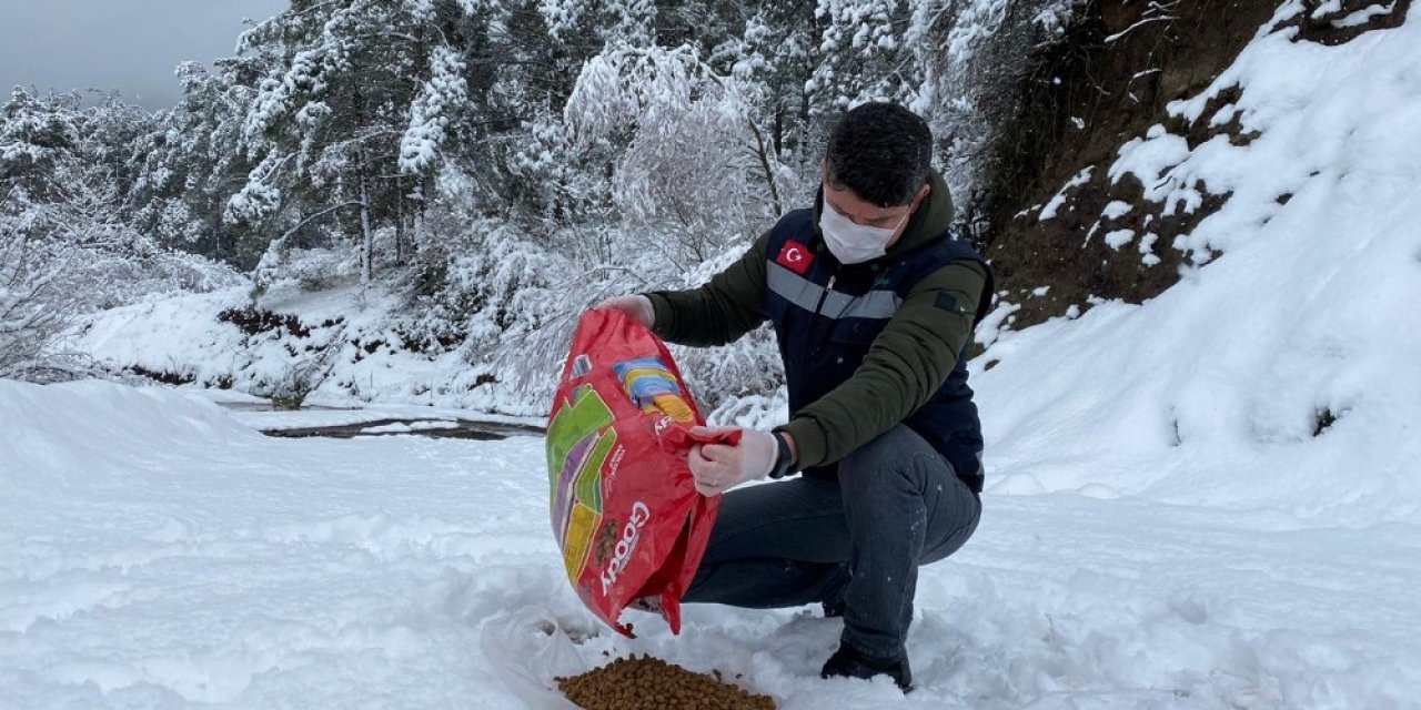Sındırgı’da Doğal Hayat Unutulmadı