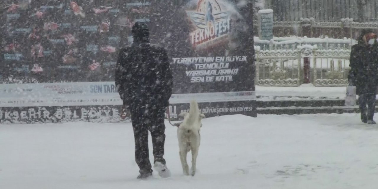 Erzurum Sabaha Beyaz Örtüyle Uyandı