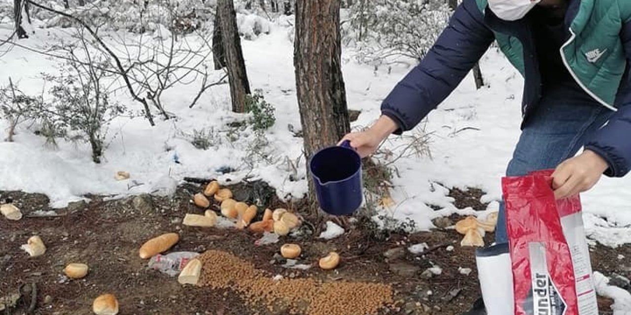 Doğadaki Sahipsiz Hayvanlara Her Gün Yem Bırakıyorlar
