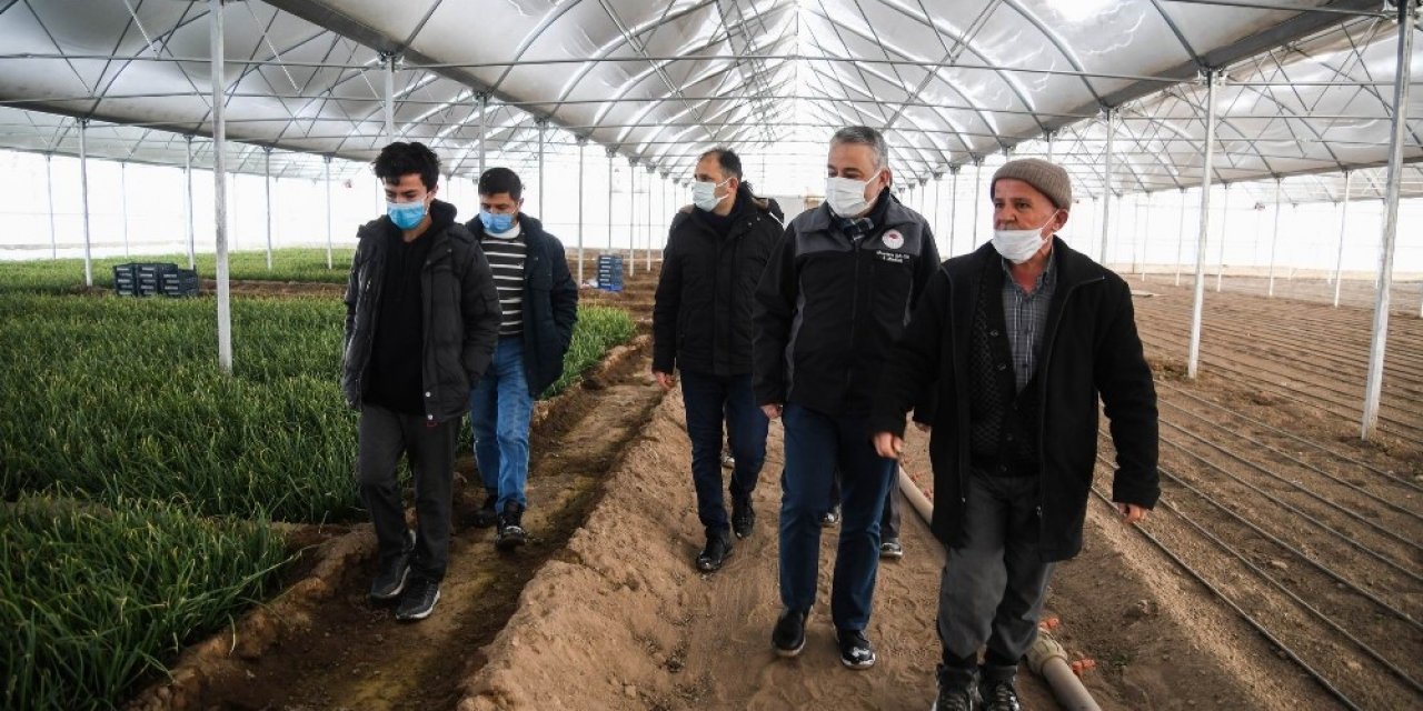 Kayseri’de Yeni Nesil Seralarla Üreticiler Karlı Yatırımlar Yapıyor