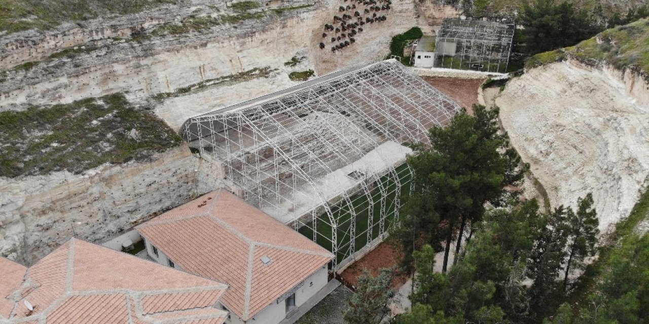 Koruma Altındaki 278 Kelaynak Doğaya Salındı