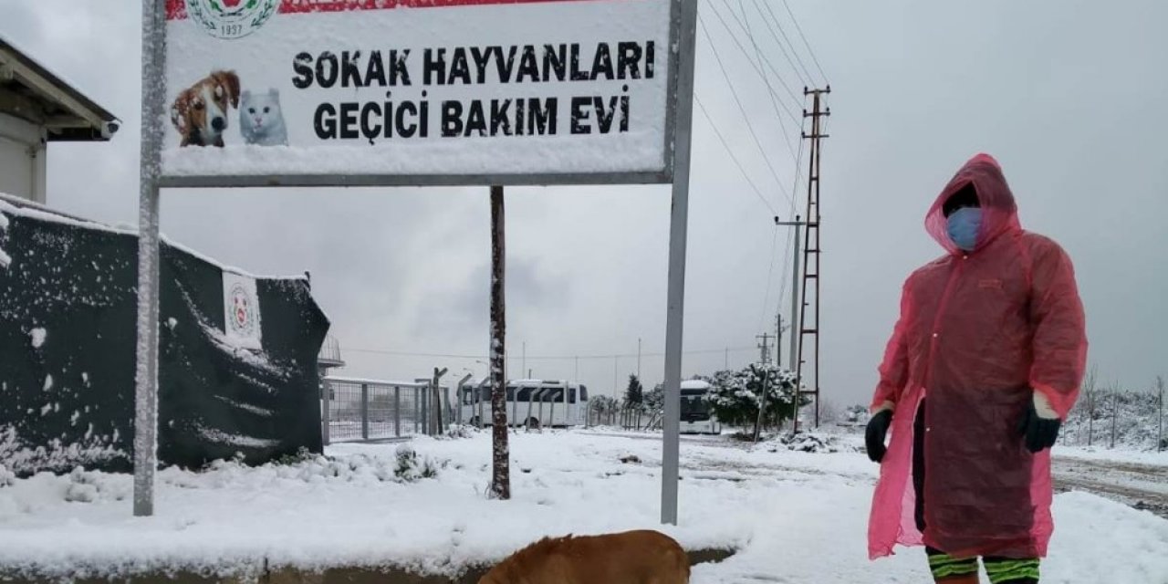 Sokaktaki Dostlarımız Emin Ellerde