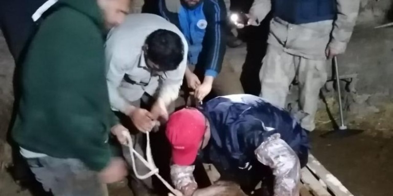 Jandarma Ekipleri İneğe Doğum Yaptırdı