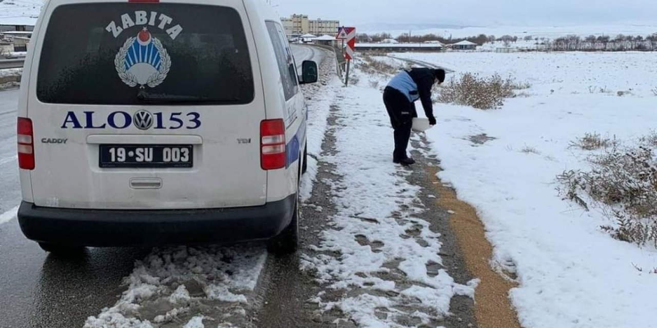 Zabıta Ekipleri Doğadaki Kuşları Unutmadı