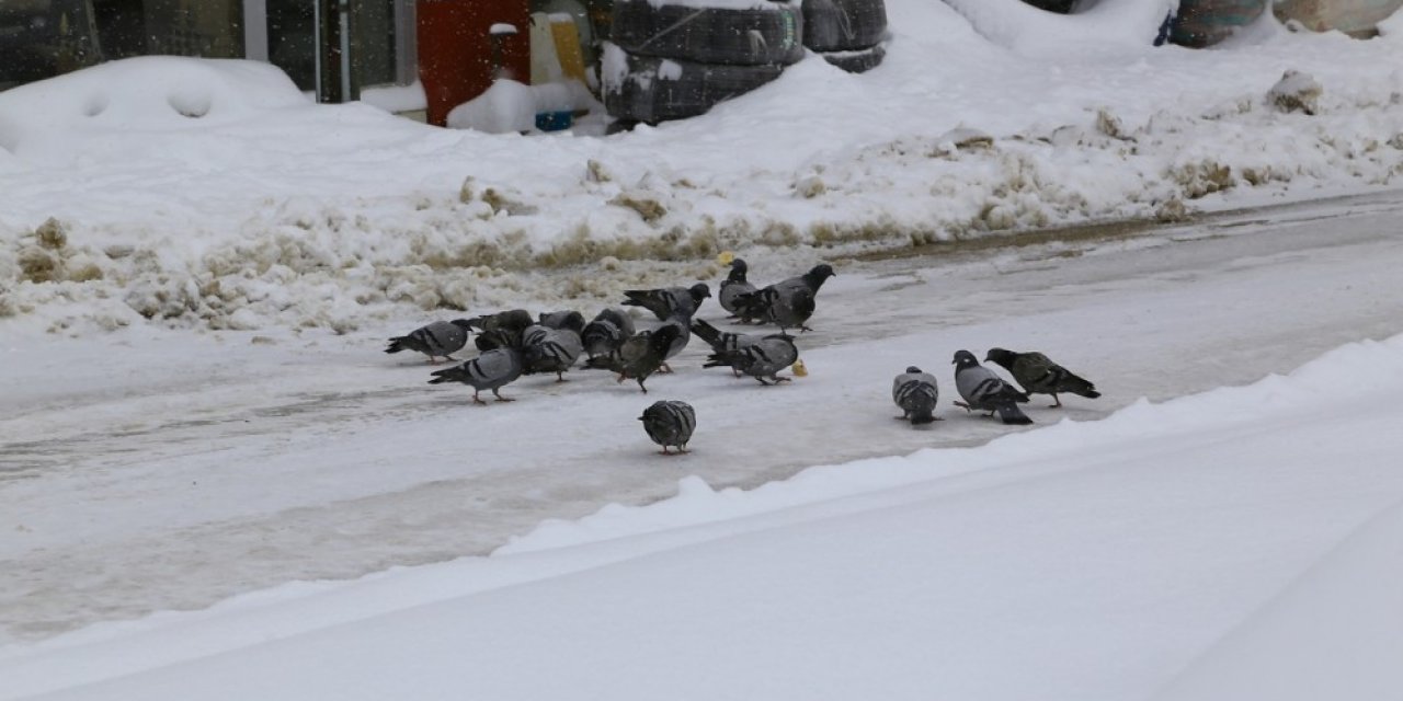 Kar Kalınlığı Yarım Metreye Yaklaştı