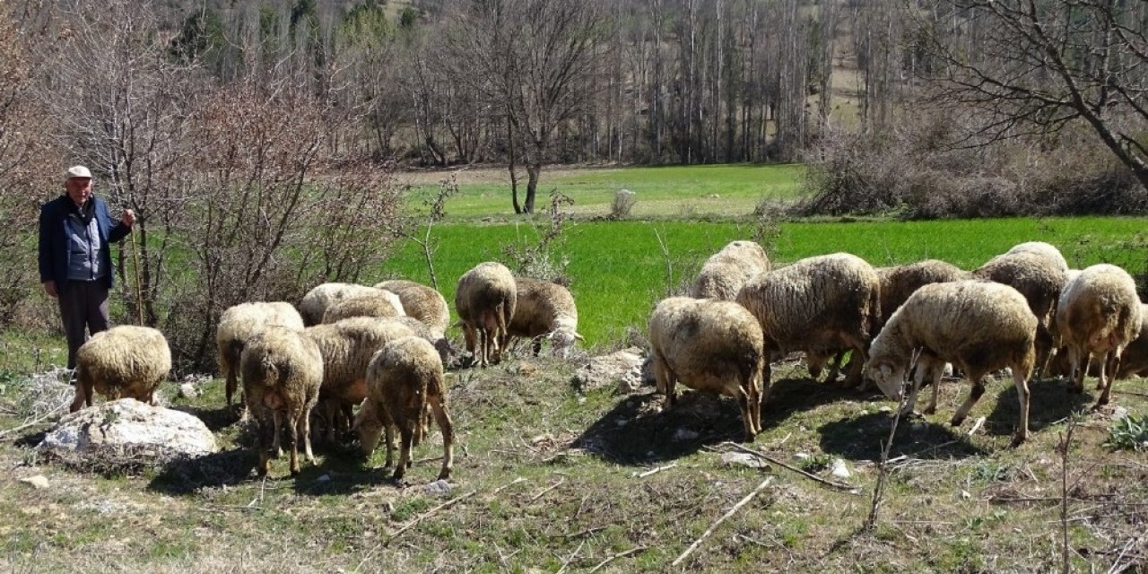 Hisarcık’ta 8 Köy ’koruma-gözetim Bölgesi’ İlan Edildi