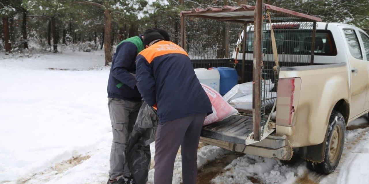 Erbaa Belediyesi Kış Şartlarında Yiyecek Bulmakta Zorlanan Yaban Hayvanları İçin Çalışma Yaptı