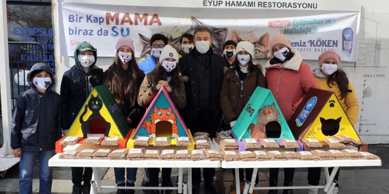 Eyüpsultan’da Kediler Yeni Yuvalarına Kavuştu