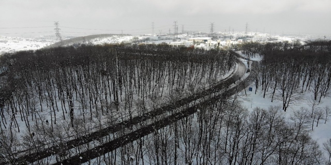 Karla Kaplı Saü Kampüsünden Seyrine Doyumsuz Manzaralar