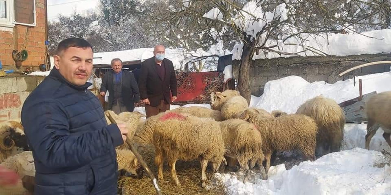 Ağıl Çöktü Koyunlar Telef Oldu