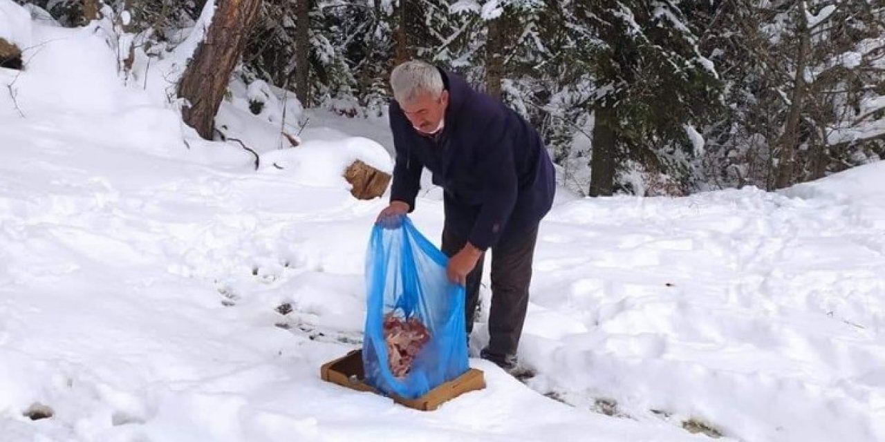 Safranbolu’da Yaban Hayvanları Unutulmadı