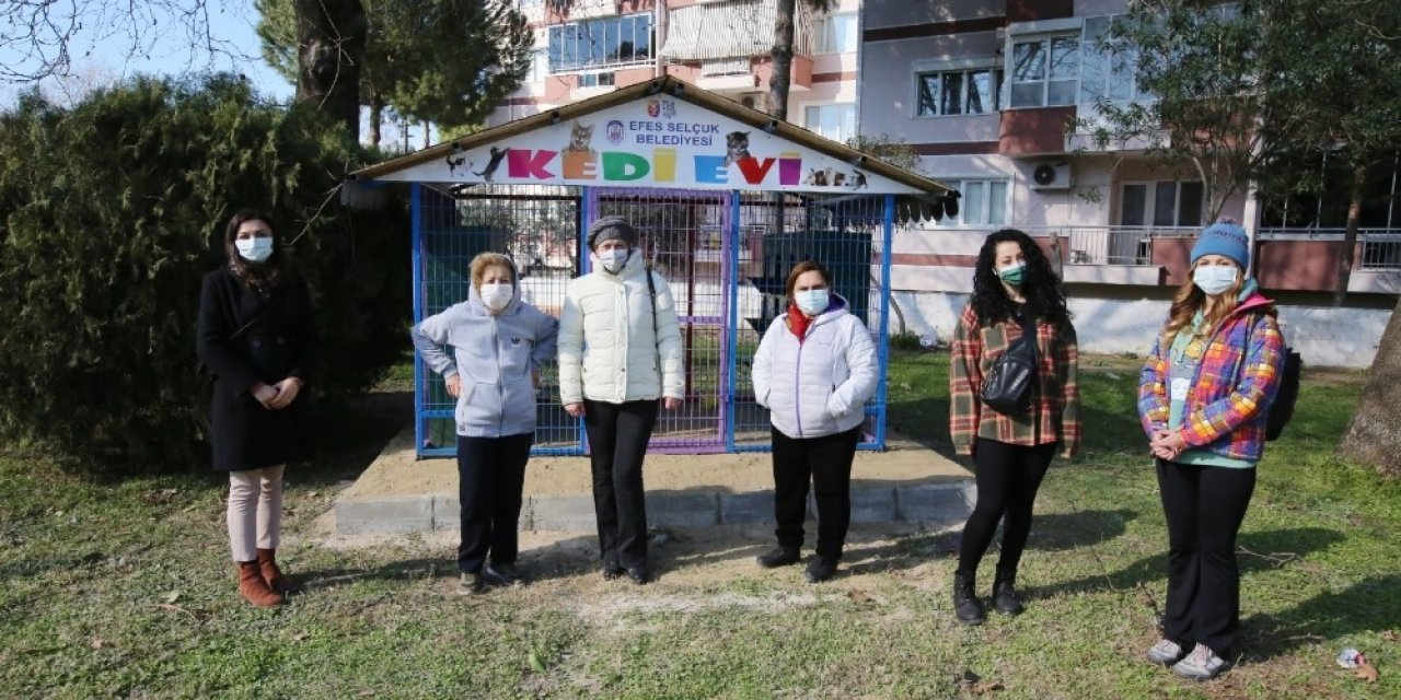 Selçuk’ta Kediler Günü’nde Can Dostlarına Kedi Evi