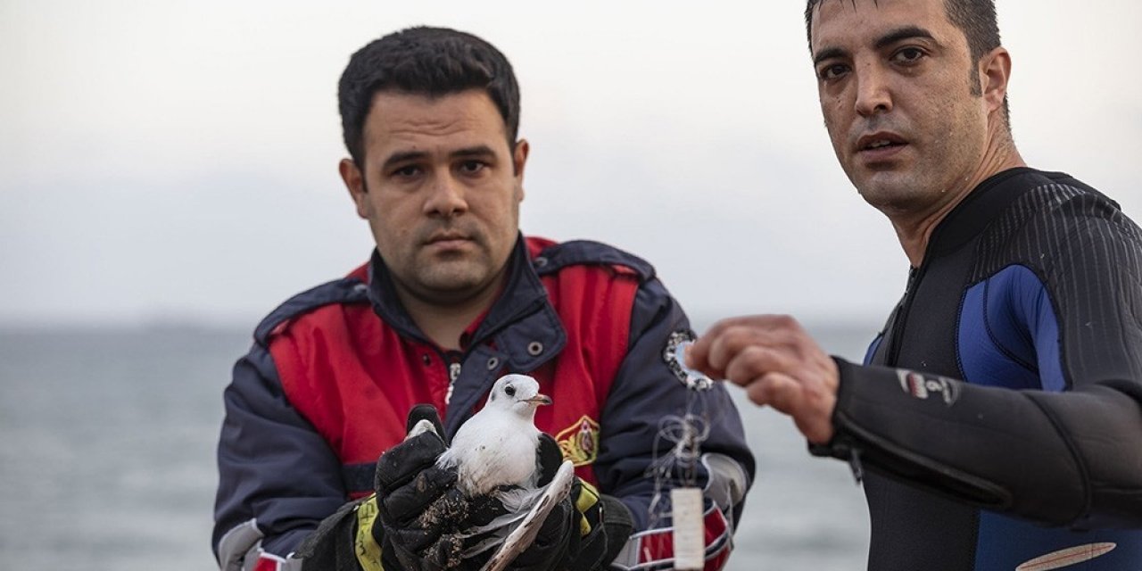 Ayağına Misina Takılan Martı İle Yardıma Giderken Arızalanan Teknedeki 2 Kişi Kurtarıldı