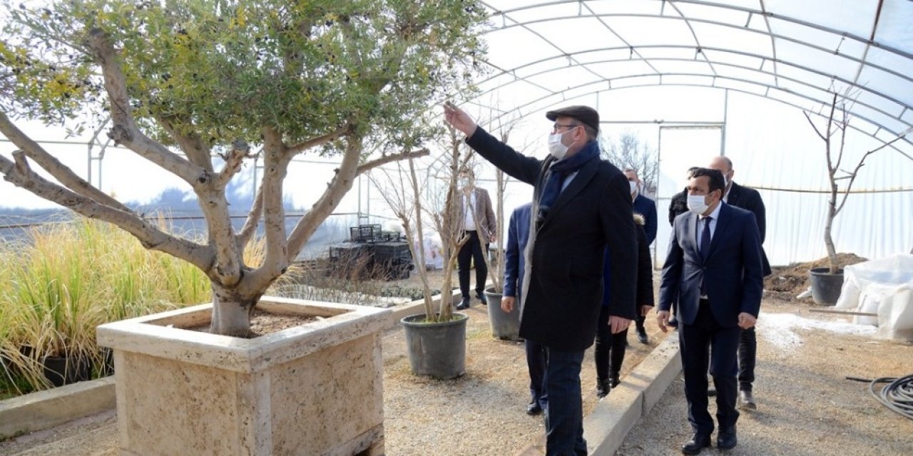 Kırşehir Belediyesi Seralarda Çiçek Üretiyor